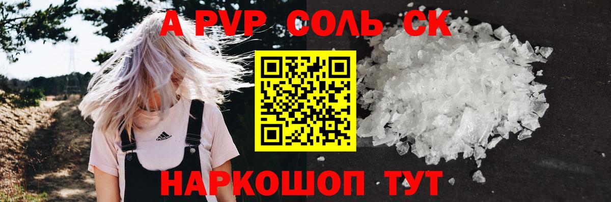 Альфа ПВП СК КРИС Сальск